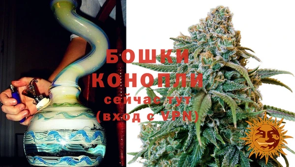 ПСИЛОЦИБИНОВЫЕ ГРИБЫ Осташков
