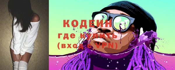 ECSTASY Ельня