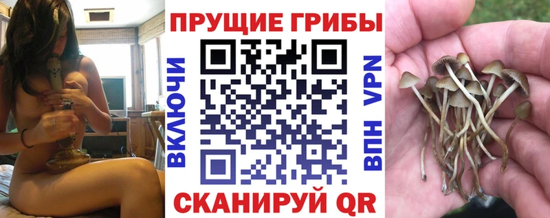 Галлюциногенные грибы мухоморы  мега маркетплейс  Сельцо 